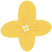 花左邊